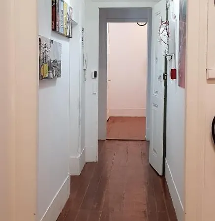 7 Luz אכסניה *